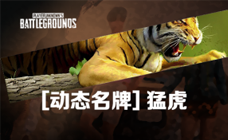 猛虎