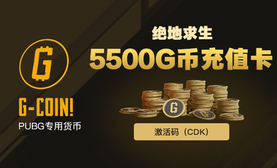 PUBG 5500G-coin(绝地求生g币-5500) PUBG 5500G-coin(绝地求生g币-5500)