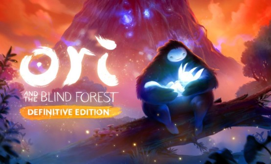 奥日与迷失森林STEAM激活码