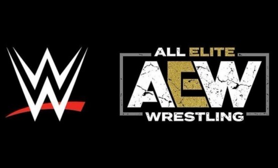 AEW：战斗永远STEAM激活码