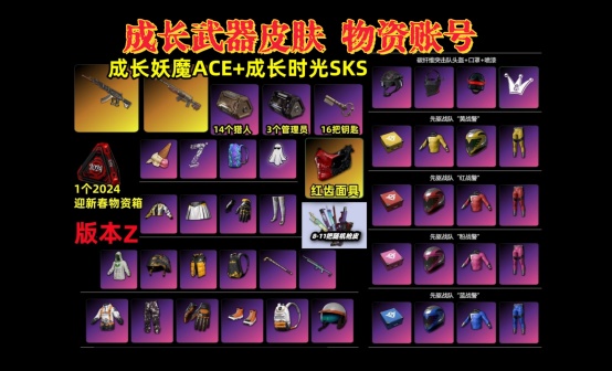 成长妖魔ACE+成长时光SKS+16套工坊宝箱物资账号