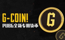 PUBG 专用货币 G-COIN