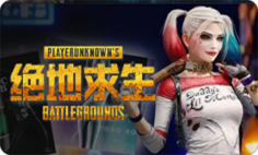 PUBG 豪华皮肤排位账号