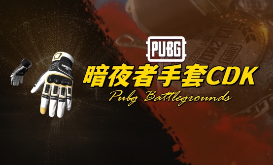 PUBG 暗夜追踪者手套CDK